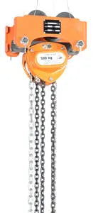 Hoists and Trollies