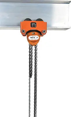 Hoists and Trollies