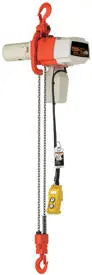 Hoists and Trollies